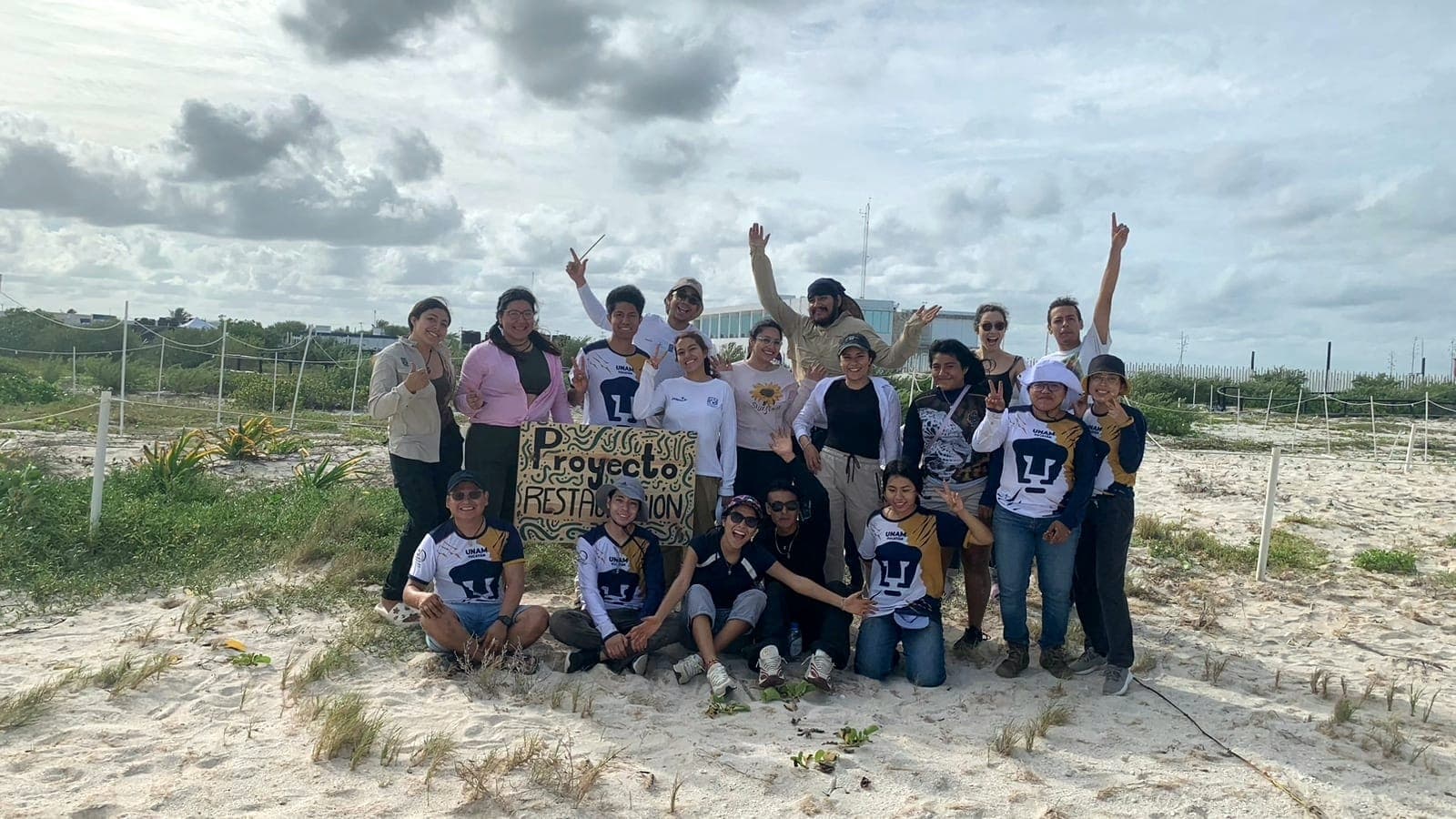 Proyectos Colaborativos De Bajo Costo